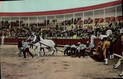 CPA Corrida Course de Taureaux El arrastre 