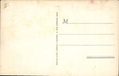 Postal Corrida Corrida de toros Senalanda el estocada