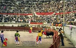 CPA Corrida Course de Taureaux Apres l'estocade 