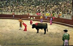 Postal Corrida Corrida de toros Puesta se murió