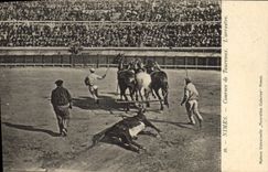 CPA Corrida Course de Taureaux Nimes L'arrastre 