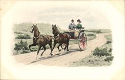 Vintage Postcard Horsemanship Equestrian sports Caleche Horse
