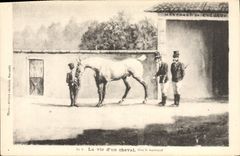 CPA Equitation Hippisme La vie d'un Cheval 