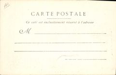 CPA Equitation Hippisme La vie d'un Cheval 