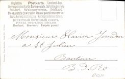 CPA Equitation Hippisme Cheval Chien 