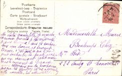 CPA Fantaisie Annee 1906 Fleurs 