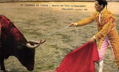 Postal Corrida Curso de Toros Corrida de Toros Muerto del Toro el descabello