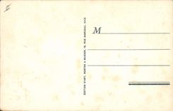 CPA Corrida Course de Taureaux Corrida de Toros Muerto del Toro Le descabello 