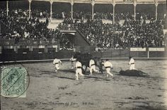 Postal Corrida Curso de Toros Corrida de Toros Arrastre del Toro