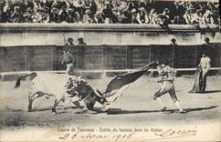 CPA Corrida Course de Taureaux Entree du taureau dans les arenes 