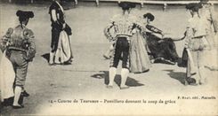 CPA Corrida Course de Taureaux Puntillero donnant le coup de grace 