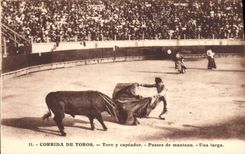 CPA Corrida Course de Taureaux Toro y capeador 