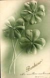 Vintage Postcard Fantasy Flowers Clover (in relief)