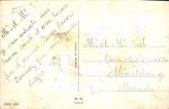 Vintage Postcard Fantasy Cat Cats Kitten April 1st