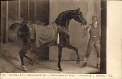 Vintage Postcard Horse Horsemanship Equestrian sports Chantilly Museum Cop outgoing Horse of the stable Gericault JL Theodore