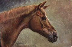 CPA Cheval Equitation Hippisme 