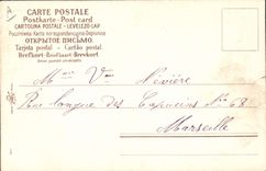 Vintage Postcard Fantasy Flowers Year 1905 Cats Cat kitten