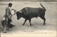 CPA Corrida Course de taureaux Suerte de piques 