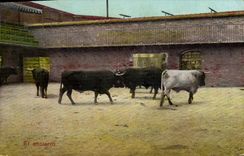 Postal Corrida Corrida de toros EL encierro