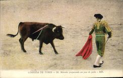 Postal Corrida Corrida de toros Matador preparando un pasado de pecho
