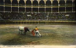 CPA Corrida Course de taureaux Muerte del toro 