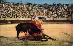 CPA Corrida Course de taureaux Toro de Cabeza 