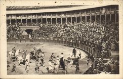 CPA Corrida Course de taureaux 