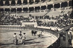 CPA Corrida Course de taureaux 