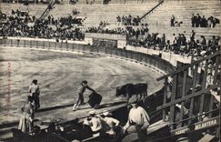 CPA Corrida Course de taureaux 