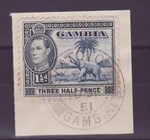 Gambie Gambia Cancelled Fattoto 1 1/2d Elephant