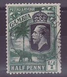 Gambie Gambia Cancelled Macarthy Island 1/2d Elephant