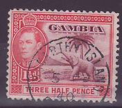 Gambie Gambia Cancelled Macarthy Island 1 1/2d Elephant