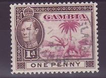 Gambie Gambia Cancelled Macarthy Island 1d Elephant