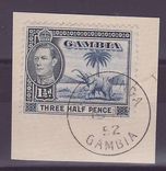 Gambie Gambia Cancelled Serekunda 1/2d Elephant