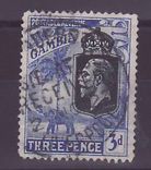 Gambie Gambia Cancelled Paquebot Posted at sea received Liverpool 3d Elephant  Posted on steamer