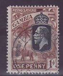 Gambie Gambia Cancelled Paquebot Posted at Sea 1 1/2d Elephant 
