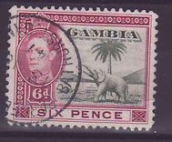Gambie Gambia 6p Elephant Parcel Post Bathurst