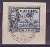 Gambie Gambia 1 1/2d Elephant Bathurst cancel