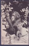 Carte postale Guinee Cachet maritime Loango a Bordeaux 5 JUIL 04 pour Mulhouse