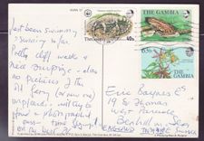 Gambie Gambia Postcard with Banjul cann dated 1983 Grenouille Frog Fleurs