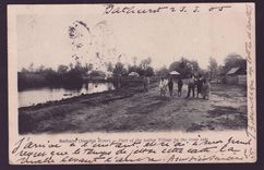 Gambia Gambie Postcard 1d EVII value picture Loading the ground nuts  to Southampton  England