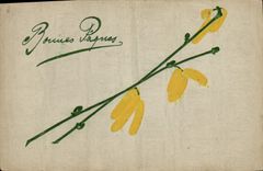 CPA Fantaisie Fleurs 