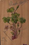 Vintage Postcard Fantasy Clover (chart out of wooden)