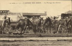 CPA Cheval Equitation Hippisme L'armee des Indes Le pansage des chevaux Militaria 