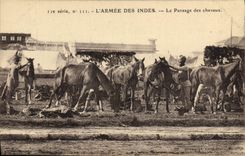 CPA Cheval Equitation Hippisme L'armee des Indes Le pansage des chevaux Militaria 