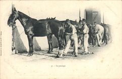CPA Cheval Equitation Hippisme Le pansage Militaria 