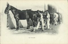 CPA Cheval Equitation Hippisme Le pansage Militaria 