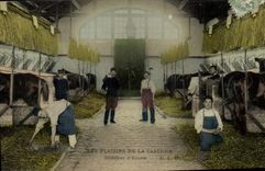 CPA Cheval Equitation Hippisme Interieur d'ecurie Militaria 