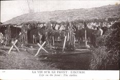 CPA Cheval Equitation Hippisme La vie sur le front L'ecurie Militaria 