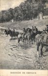 Vintage Postcard Horse Horsemanship Equestrian sports Bathe of Militaria horses